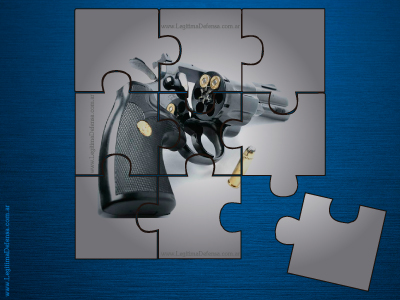 Gun Puzzle
