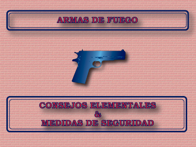 Consejos Elementales y Medidas de Seguridad con Armas